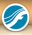 fin-doc-icon